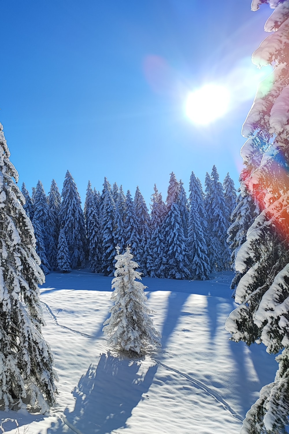 piste-enneige